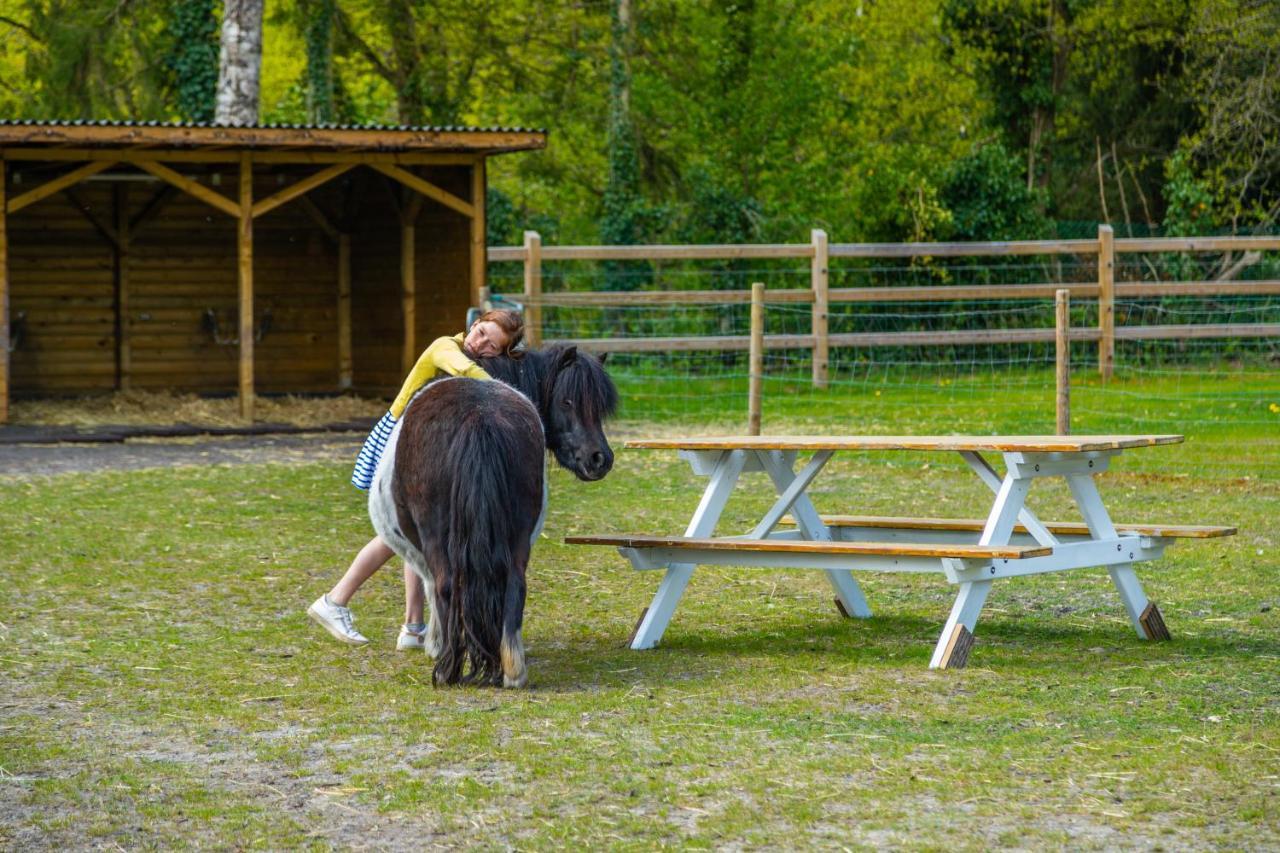 Europarcs Hoge Kempen Zutendaal Bagian luar foto