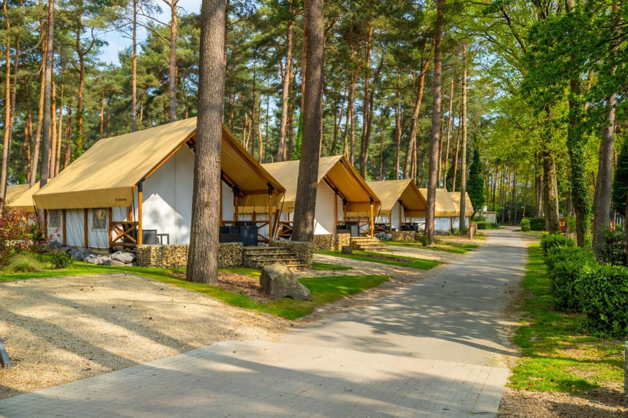 Europarcs Hoge Kempen Zutendaal Bagian luar foto